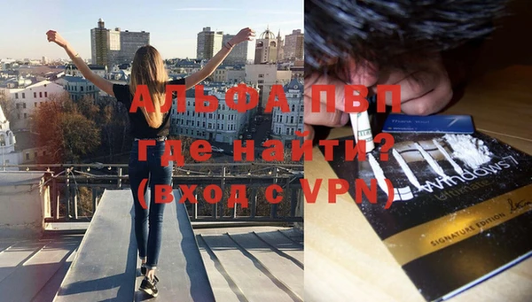 ПСИЛОЦИБИНОВЫЕ ГРИБЫ Верея