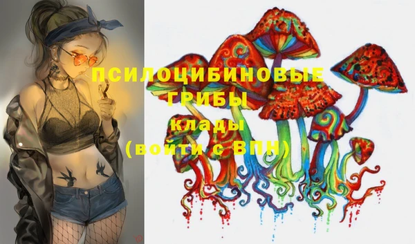 ПСИЛОЦИБИНОВЫЕ ГРИБЫ Верея