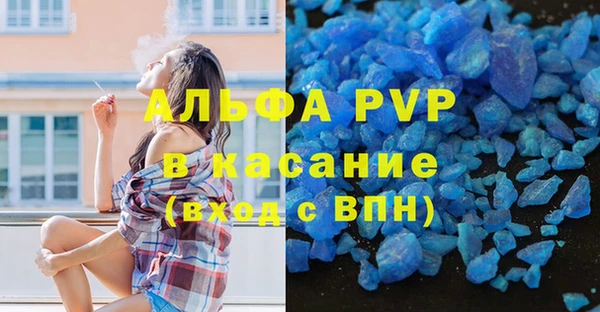 ПСИЛОЦИБИНОВЫЕ ГРИБЫ Верея